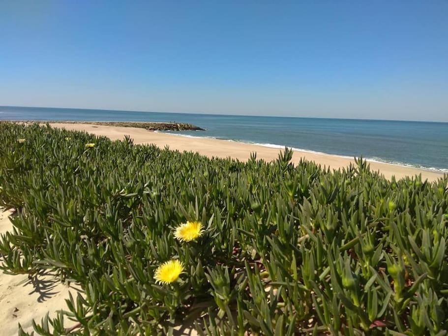 Casa De Praia Acolhedora/ Cosy Beach House Marinha das Ondas Zewnętrze zdjęcie